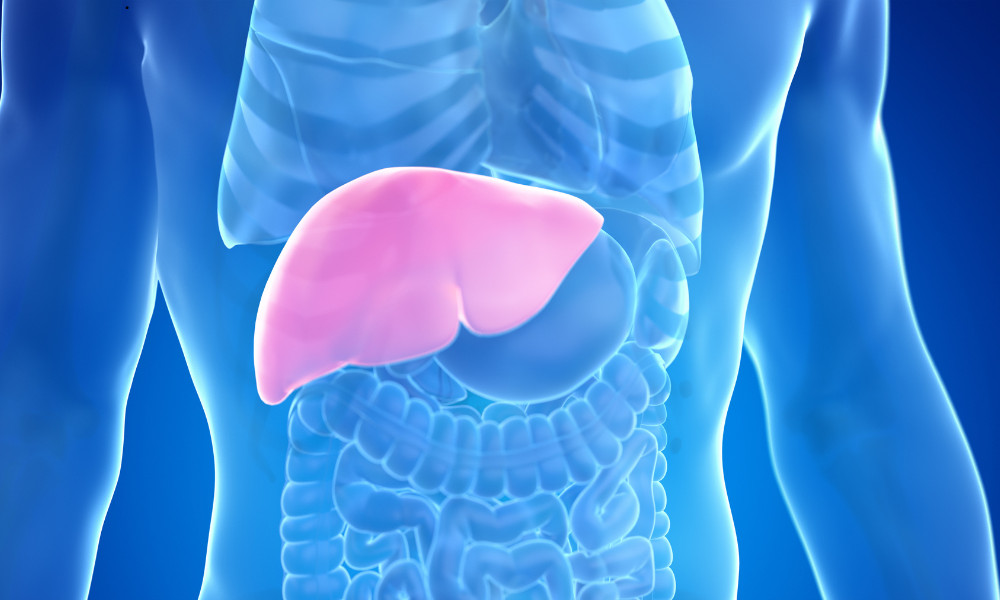 Can Liver Disease Be Cured? How to Reverse Liver Damage