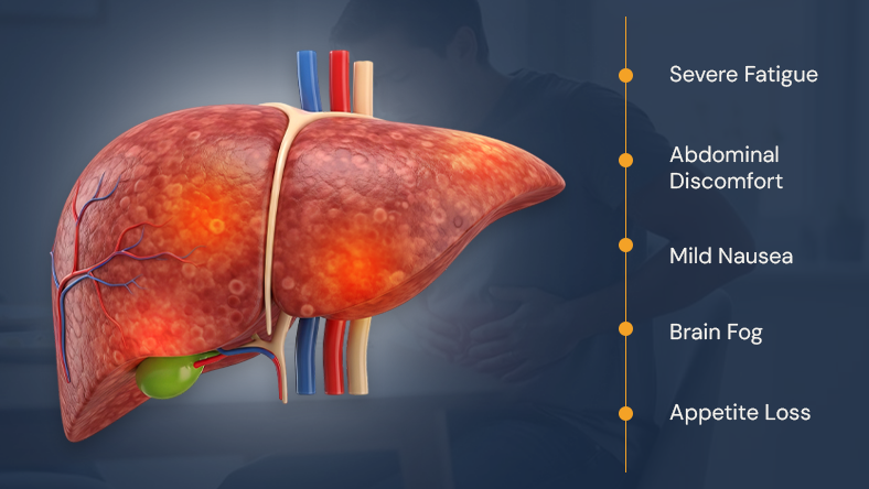 Fatty Liver Symptoms and Warning Signs