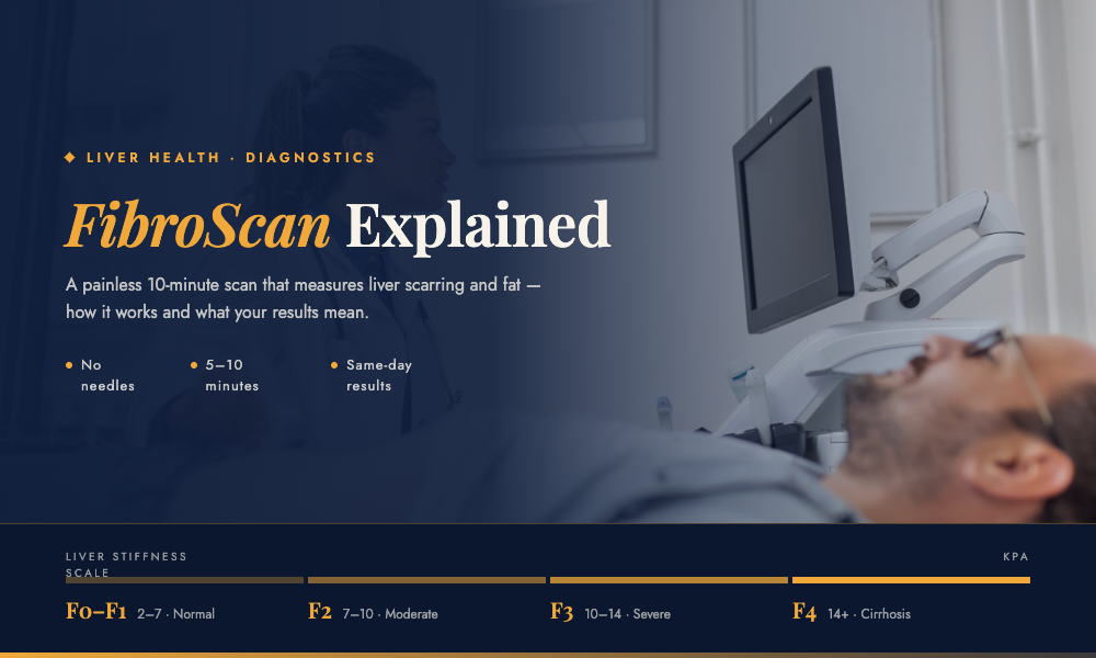 FibroScan Explained: A Simple Guide to Your Liver Check